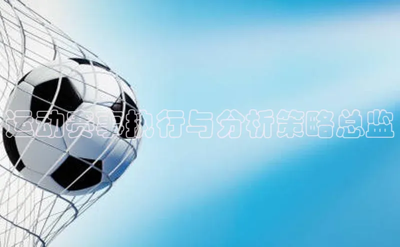 运动赛事执行与分析策略总监