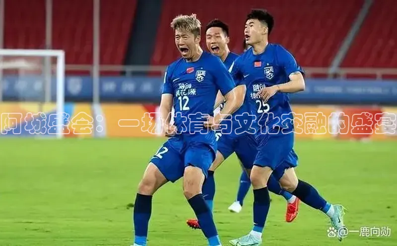 阿城盛会：一场体育与文化交融的盛宴